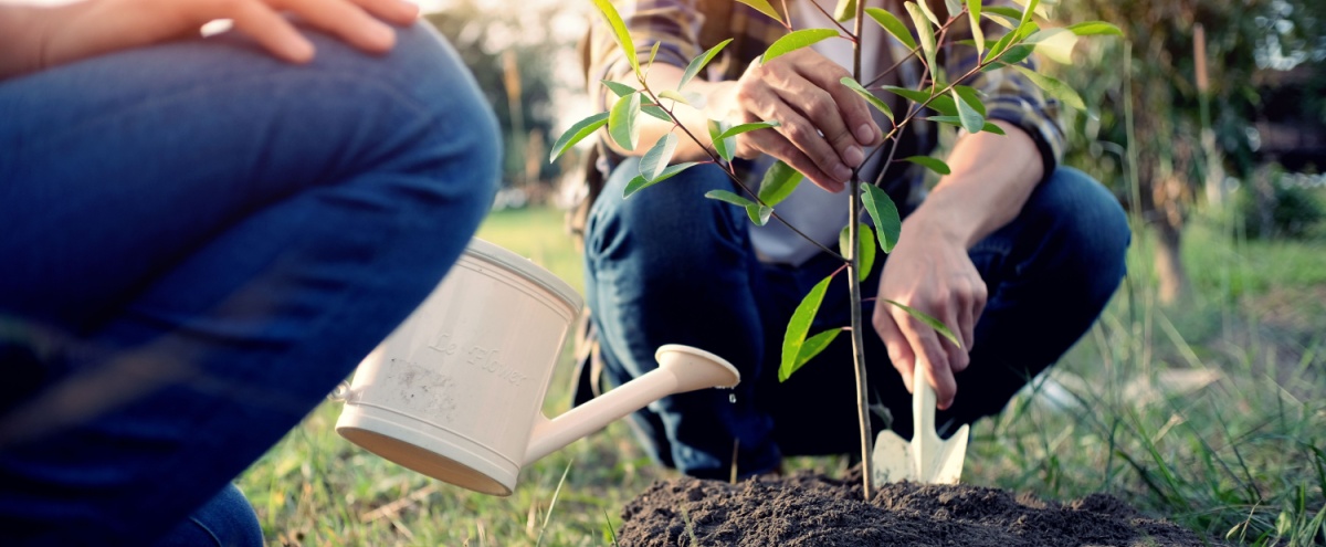 Two people watering plants.